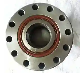 Man Truck Bearing