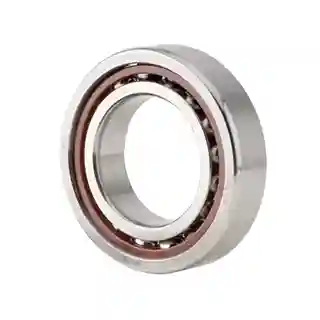 Spindle Bearing